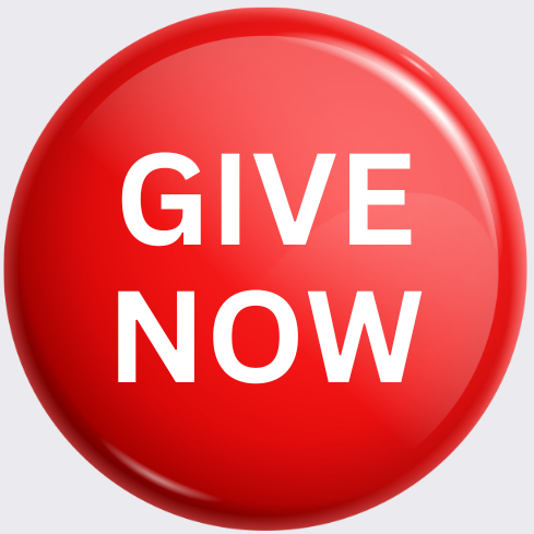 Give now button