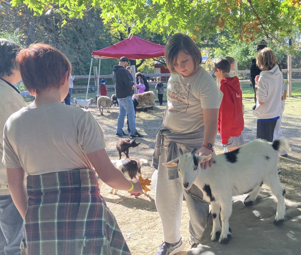 A preteen youth pets a goat at an outdoor farm yard surrounded by his classmates. 