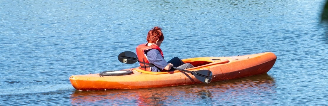 November Vital Signs